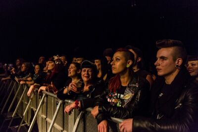 Sir Psyko & His Monsters @ Old School Rockabilly Psychosis Night Trix, picture 25, photographed by Edwin Houdevelt - FrontView Magazine
