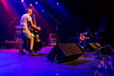The Frogs @ Old School Rockabilly Psychosis Night Trix, picture 15, photographed by Edwin Houdevelt - FrontView Magazine