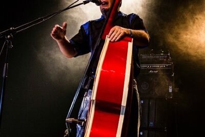 The Sharks @ Old School Rockabilly Psychosis Night Trix, picture 21, photographed by Edwin Houdevelt - FrontView Magazine