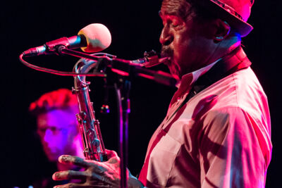 The Grandmothers of Invention @ De Casino Sint-Niklaas, picture 20, photographed by Guy Danneels - FrontView Magazine