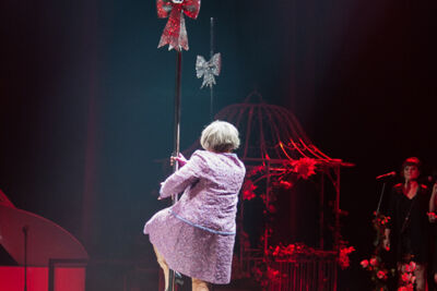 3x Feest met Els De Schepper @ Lotto Arena, picture 41, photographed by Alex Wyckmans - FrontView Magazine