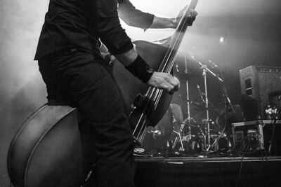 Milwaukee Wildmen @ Mezz, picture 9, photographed by Dorien Goetschalckx - FrontView Magazine