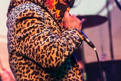 Demented Are Go @ De Pit, picture 1, photographed by Edwin Houdevelt - FrontView Magazine