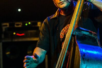 Demented Are Go @ De Pit, picture 17, photographed by Edwin Houdevelt - FrontView Magazine