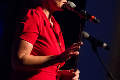 Kleinkunsteiland @ De Roma, picture 22, photographed by Dorien Goetschalckx - FrontView Magazine