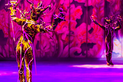 Disney on Ice @ Vorst Nationaal, picture 32, photographed by Guy Danneels - FrontView Magazine