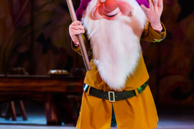 Disney on Ice @ Vorst Nationaal, picture 35, photographed by Guy Danneels - FrontView Magazine