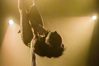 Burlesque Follies Deluxe @ De Roma, picture 26, photographed by Edwin Houdevelt - FrontView Magazine