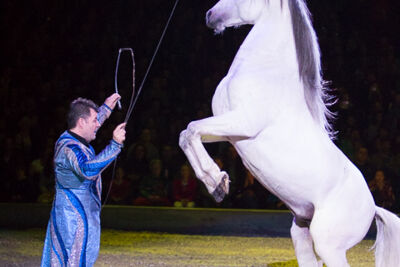 Apassionata @ Sportpaleis, picture 1, photographed by Kjell Putteman - FrontView Magazine