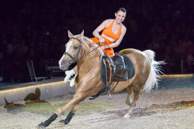 Apassionata @ Sportpaleis, picture 15, photographed by Kjell Putteman - FrontView Magazine
