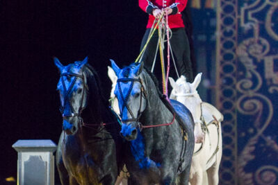 Apassionata @ Sportpaleis, picture 39, photographed by Kjell Putteman - FrontView Magazine