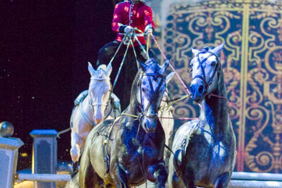 Apassionata @ Sportpaleis, picture 40, photographed by Kjell Putteman - FrontView Magazine