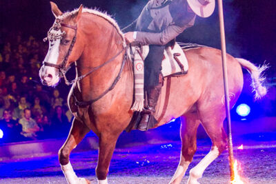 Apassionata @ Sportpaleis, picture 58, photographed by Kjell Putteman - FrontView Magazine