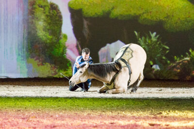 Apassionata @ Sportpaleis, picture 77, photographed by Kjell Putteman - FrontView Magazine