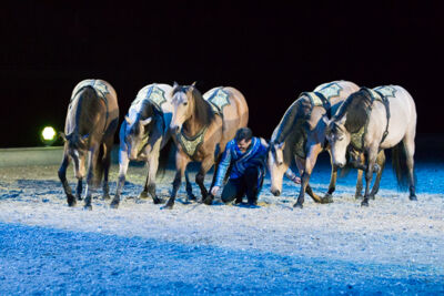 Apassionata @ Sportpaleis, picture 80, photographed by Kjell Putteman - FrontView Magazine