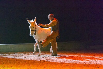 Apassionata @ Sportpaleis, picture 82, photographed by Kjell Putteman - FrontView Magazine