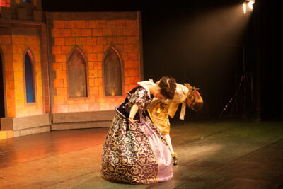 Première Doornroosje de musical @ Stadsschouwburg Antwerpen, picture 26, photographed by Dimitri Vanlommel - FrontView Magazine