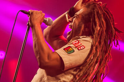 Tribute2BobMarley @ Paaspop 2014, foto 6, foto's door Dorien Goetschalckx - FrontView Magazine