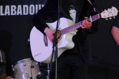 Labadoux 2014 @ Ingelmunster, picture 8, photographed by Peter Minnebo - FrontView Magazine