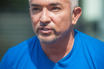 Cesar Milan Press Conference Stadsschouwburg Antwerpen, picture 8, photographed by Kris Saelen - FrontView Magazine