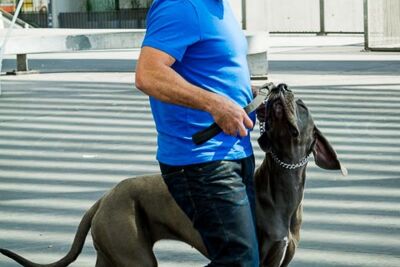 Cesar Milan Press Conference Stadsschouwburg Antwerpen, picture 17, photographed by Kris Saelen - FrontView Magazine
