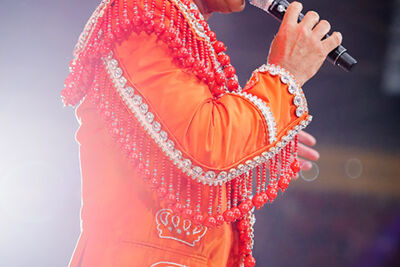 Toppers in Concert - Made in Holland @ Amsterdam ArenA, foto 17, foto's door Elke Briers - FrontView Magazine