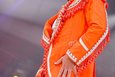 Toppers in Concert - Made in Holland @ Amsterdam ArenA, foto 18, foto's door Elke Briers - FrontView Magazine