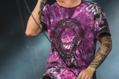 Architects @ Rock Am Ring 2014, picture 6, photographed by Edwin Houdevelt - FrontView Magazine
