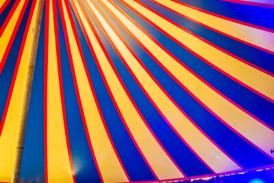 Vestrock 2014 dag 2 @ Hulst, picture 4, photographed by sven dullaert - FrontView Magazine