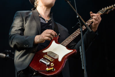 Babyshambles @ Best Kept Secret 2014, picture 23, photographed by Edwin Houdevelt - FrontView Magazine