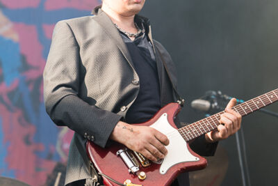 Babyshambles @ Best Kept Secret 2014, picture 33, photographed by Edwin Houdevelt - FrontView Magazine
