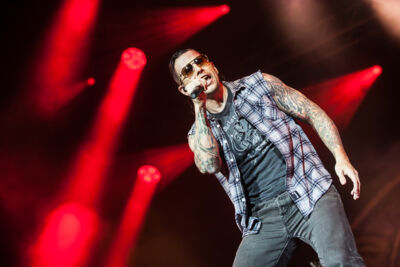 Avenged Sevenfold @ Hellfest 2014, picture 3, photographed by Dorien Goetschalckx - FrontView Magazine
