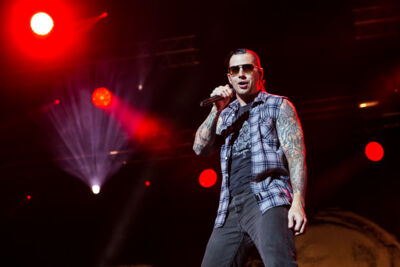 Avenged Sevenfold @ Hellfest 2014, picture 15, photographed by Dorien Goetschalckx - FrontView Magazine