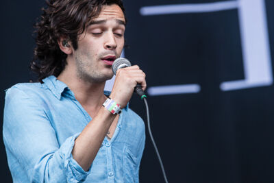 The 1975 @ Best Kept Secret 2014, picture 12, photographed by Edwin Houdevelt - FrontView Magazine