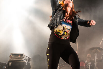 Walls of Jericho @ Hellfest 2014, picture 2, photographed by Dorien Goetschalckx - FrontView Magazine