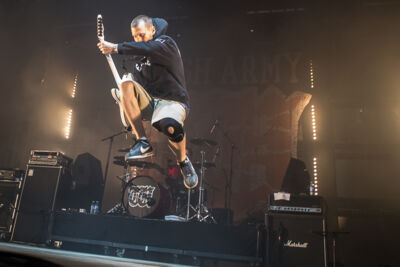 Walls of Jericho @ Hellfest 2014, picture 7, photographed by Dorien Goetschalckx - FrontView Magazine