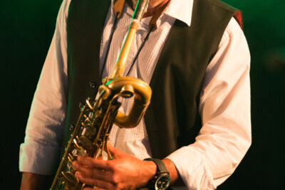 ParkBlues @ Burgemeesterpark Lommel, picture 33, photographed by FrontView Magazine