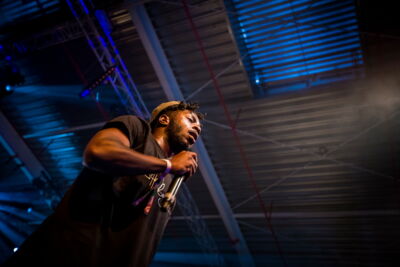 Les Ardentes Editie 2014 - donderdag, foto 8, foto's door sven dullaert - FrontView Magazine
