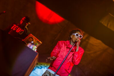 Les Ardentes Editie 2014 - donderdag, foto 71, foto's door sven dullaert - FrontView Magazine