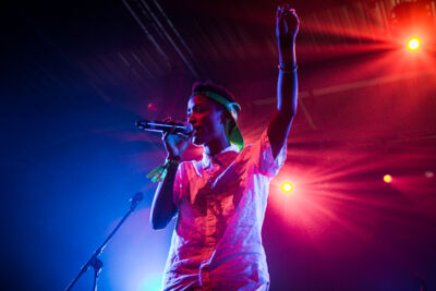 The Internet @ Les Ardentes 2014, foto 2, foto's door Tom Stessens - FrontView Magazine