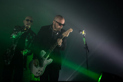 The Sisters Of Mercy @ Rock Zottegem 2014, foto 9, foto's door Dorien Goetschalckx - FrontView Magazine