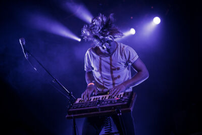 Compact Disk Dummies @ Rock Zottegem 2014, picture 8, photographed by Dorien Goetschalckx - FrontView Magazine