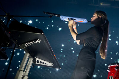 Ozark Henry @ Rock Zottegem 2014, picture 11, photographed by Dorien Goetschalckx - FrontView Magazine