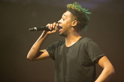 Danny Brown @ Les Ardentes, foto 27, foto's door FrontView Magazine