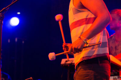 Leaf House @ Les Ardentes, picture 13, photographed by FrontView Magazine