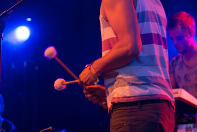 Leaf House @ Les Ardentes, picture 14, photographed by FrontView Magazine
