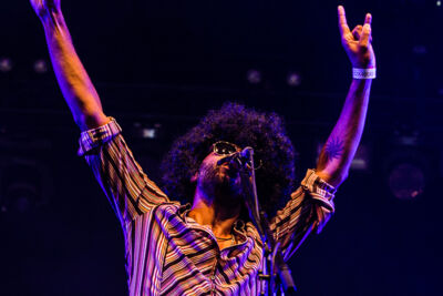 CPeX @ Puurs Live 2014, picture 9, photographed by FrontView Magazine