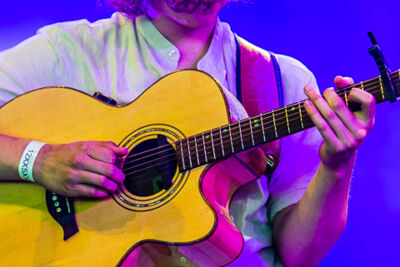 Barefoot & The Shoes @ Puurs Live 2014, picture 1, photographed by Edwin Houdevelt - FrontView Magazine