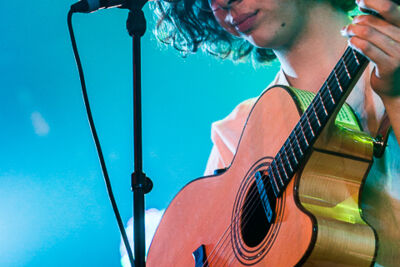 Barefoot & The Shoes @ Puurs Live 2014, picture 6, photographed by Edwin Houdevelt - FrontView Magazine