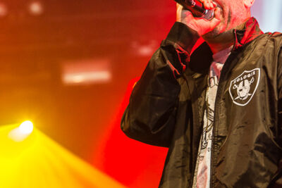 Halve Neuro @ Puurs Live 2014, picture 4, photographed by Edwin Houdevelt - FrontView Magazine